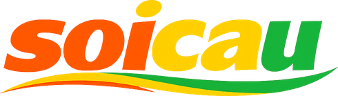 Logo soicau